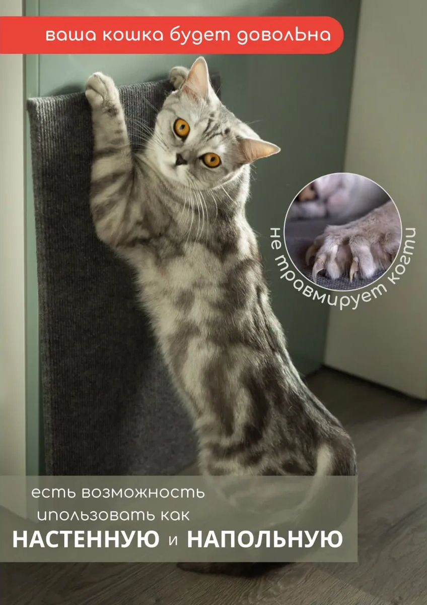 Dovol'nyj Pusistik Kedi Tırmalama Tahtası Yer Yatağı 275128656