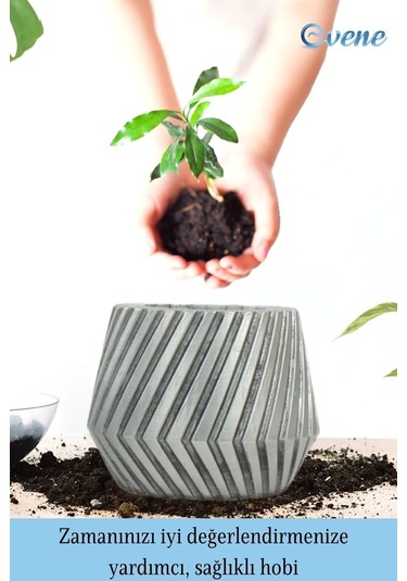 Saksı Çiçek Kaktüs Saksısı Lüx 13 Cm Mekanik Dişli Desen Saksı Çiçeklik - Gümüş Eskitme