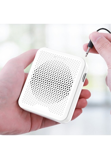 Reedark Deli Akıllı Gürültü Azaltmalı Mikrofonlu Ses Yükseltici - Usb/tf/aux Girişli, 1200mah Şarjlı, Öğretmen/rehber İçin