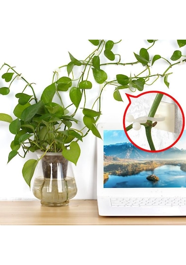 Sones 10 Adet Lulu Tırmanma Duvarı Sabitleyici Asma Tırmanma Duvarı Yapıştırma Kancası, Boyut: Küçük Beyaz