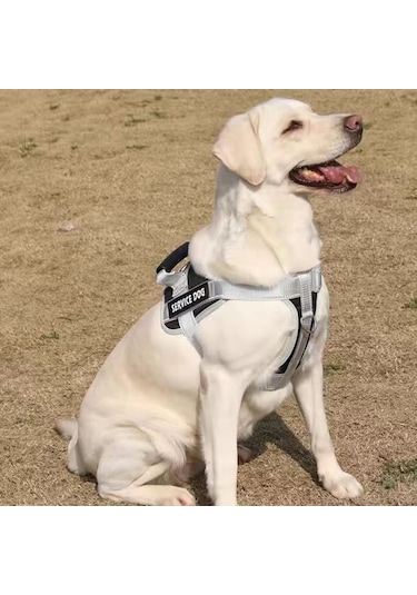 Büyük Köpek Patlama Korumalı Yumruk Göğüs Koşum Köpek Seyahat Tasma, Stil: Tek Siyah Xxl