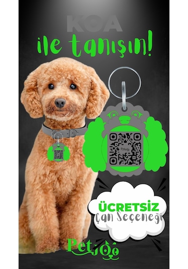 Petjoo 14.Koa Yeşil-Gri Qr'lı Köpek Künyesi