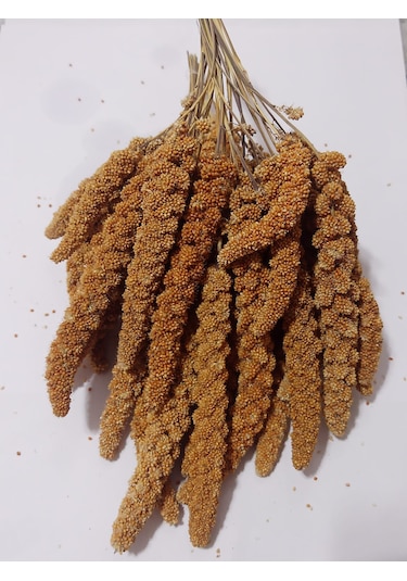 Kızıl Dal Darı Doğal 1000 Gr