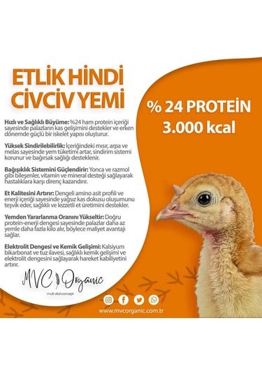 Hindi Civciv Yemi 20 Kg