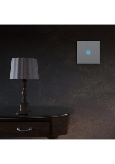 Yaozixa Akıllı Dokunmatik Wifi Anahtar, 85-230v Avrupa Standartı, Alexa Ve Google Home Desteği, Cam Paneli, Uzaktan Kontrol Ve Gerçek Zamanlı Durum Gösterimi 1 Yol