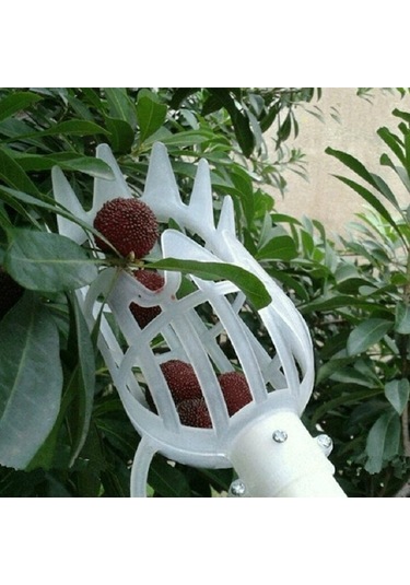 Rogfer Erik Tarih Kayısı Seçim Meyveli Plastik Aracı Beyaz White , Size:20cm