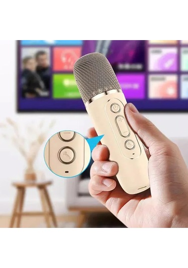 Mini Kablosuz Bluetooth Karaoke Hoparlör Kareoke Makinesi Pembe