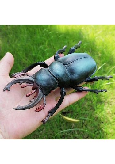 Tenfowee Çocuklar İçin Eğitici Bilgi Verici Böcek Modeli Oyuncak, Fen Ve Doğa Tanıma Hediyesi - Kuvvet Böceği