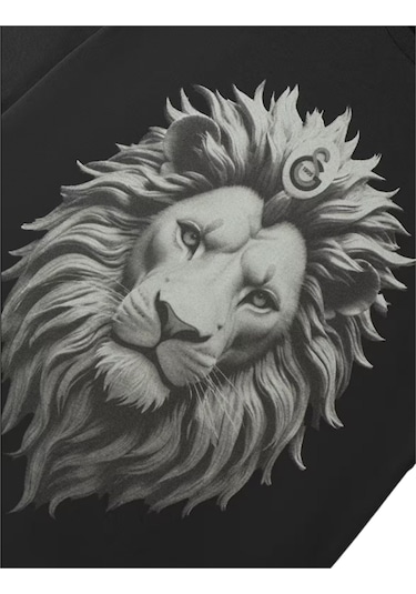 Galatasaray Lisanslı Siyah Aslan Baskılı Çocuk T-shirt 03-siyah