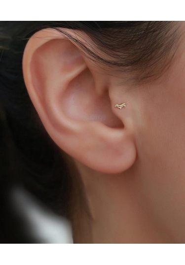 14 Ayar Altın Köpek Motifli Tragus Piercing Sarı Altın