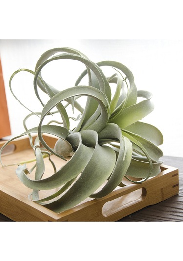 Yeni Yapay Ananas Çim Hava Rattan Bitkileri 6 Tür Simülasyon Yeşil Bitkiler Düğün Ev Ofis Duvar Dekorasyonu 1 Adet