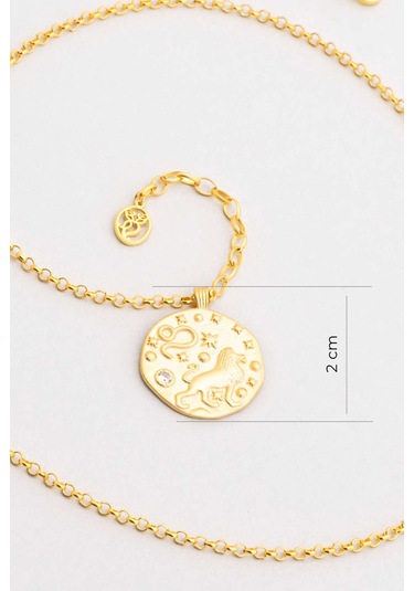 Aslan Burcu 18 Ayar Sarı Altın Kaplama 45 Cm Gümüş Kolye Sarı