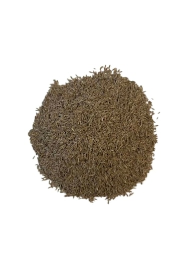 5'li Karışım İthal Çim Tohumu 5 Kg