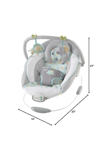 Ingenuity Titreşimli, Oyuncak Barlı Ve Sesli, 0-6 Ay Ana Kucağı