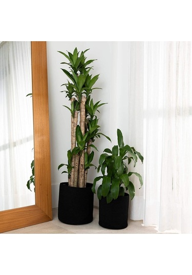 Ikili Dekoratif Jüt Saplı Hasır Sepet Saksı 30 Cm Ve 25 Cm , Dekoratif Saksı Ve Havluluk Siyah