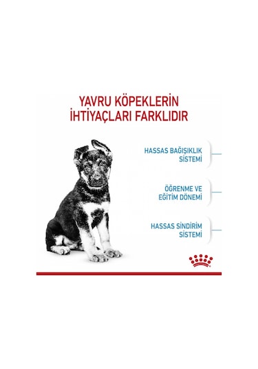Royal Canin Maxi Junior Büyük Irk Yavru Köpek Maması 4 KG