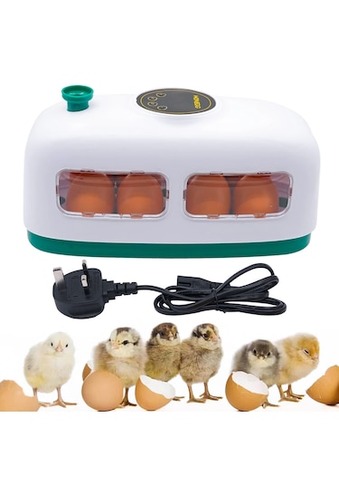 Altın Kuluçka-wonegg 8'li Mini Kuluçka Makinesi