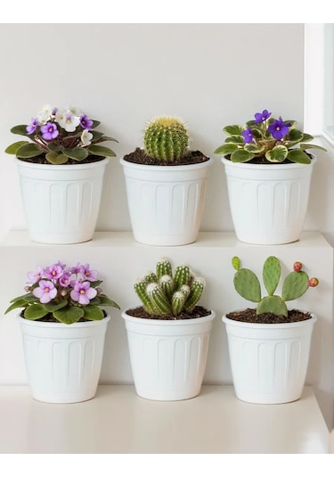 Saburg Çiçek Saksıları Seti, 6 Adet 1,6 Litrelik Saksı Altlığı İle 169064230