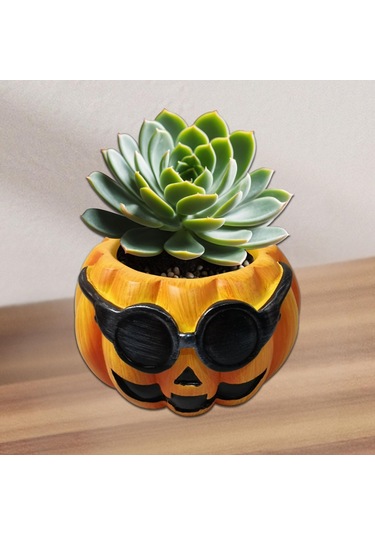 Suntek Kabak Saksı Hediye Dekorasyon Süsler Ev Mutfak Stil-b