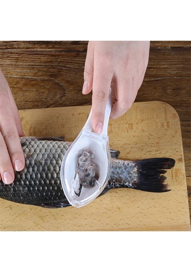 Balık Pulları Rendesi Balık Pulları Temizleyici Balık Temizleme Aleti Pulları Temizleyici Yeşil Yeşil