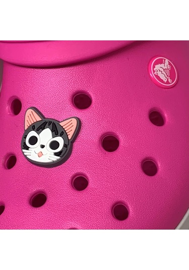 Crocs Terlik Süsü & Renkli Aksesuar Jibbitz (475023224) Çok Renkli