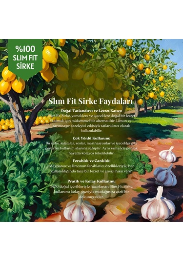 Mim and More Slim Fit Maydanoz & Limon & Sarımsak Sirkesi 250 ML