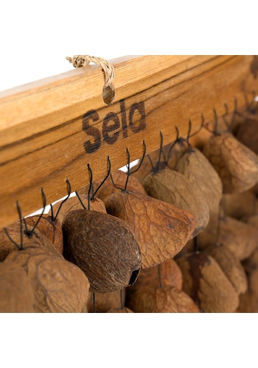 Sela Seed Chime Pangi Sesdc3