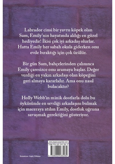 Üzgün Sam - Holly Webb - Pegasus