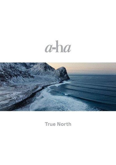 A Ha True North Yeni Baskı 2'li Plak