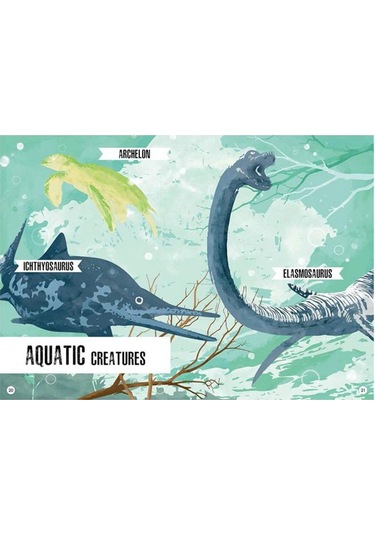 Sassi 3d Stegosaurus - Book And 3d Model