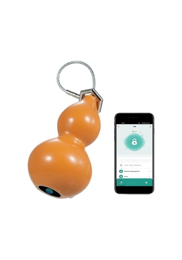 Jokmae T08d Akıllı Parmak İzi Kilidi - Tuya Uygulamalı, Ip65