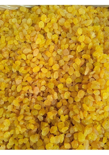 Talas Kuruyemiş İran çekirdeksiz kuru sarı üzüm 1 KG