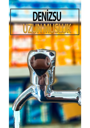 Musluk Kısa Tip
