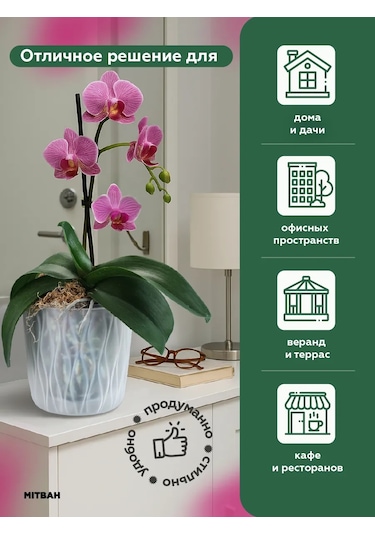 Mıtbah Orkide İçin Saksı, Şeffaf Saksı, 2 Adet, 2,3 L 412453380