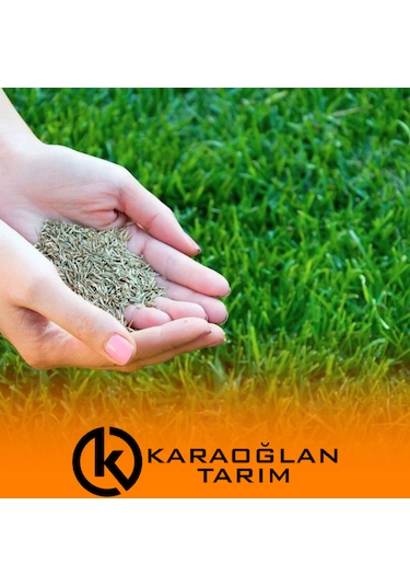 Çimlenen 7'li Karışım Basmaya Ve Soğuklara Dayanıklı Çim Tohumu