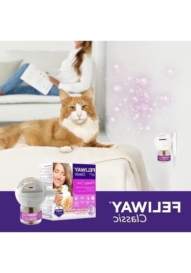 Başlangıç Seti, Kedi Ve Köpek İçin Özel Ürünler