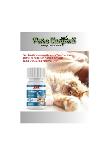 Purecanpati Kedi Multivitamin Biotin Dermacat Seti