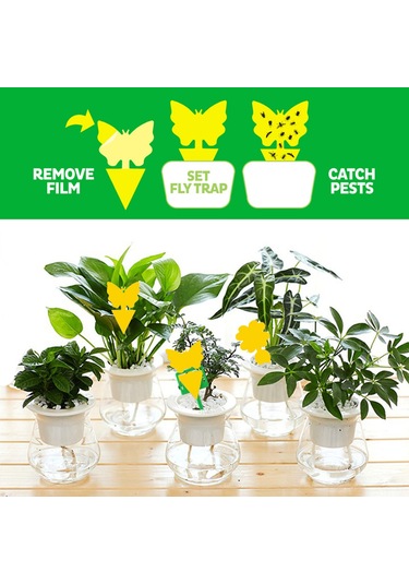 Symbee 12 Adet Sarı Çift Taraflı Yapışkan Tuzağa, Bitki Uçan Haşere Yakalayıcı, Gül/elma Şeklinde, Pestisit Ve Kokusuz, Ev Bitkileri İçin