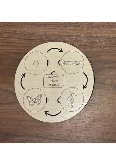 Montessori Hayvanların Ve Böceklerin Yaşam Döngüsü