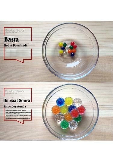 xxl En Büyük Boy 50 Adet Şişen Büyüyen Su Maymunu Maymuncuğu...