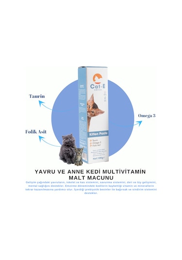 Amica Cat-e Kitten Paste Yavru ve Anne Kediler İçin Mal Macunu