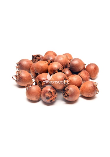 Muşmula Fidanı N11.271