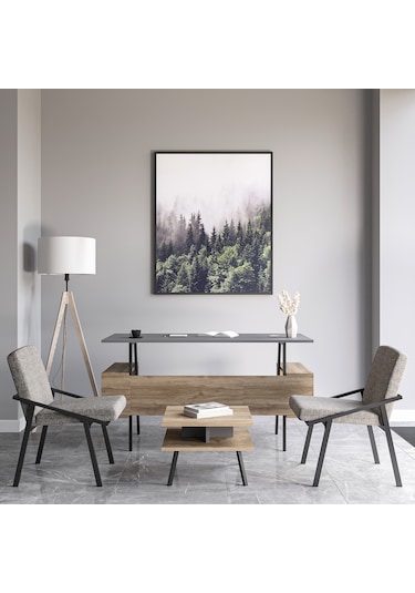 Lagomood İrony Ofis İki Adet Tekli Koltuk Antrasit