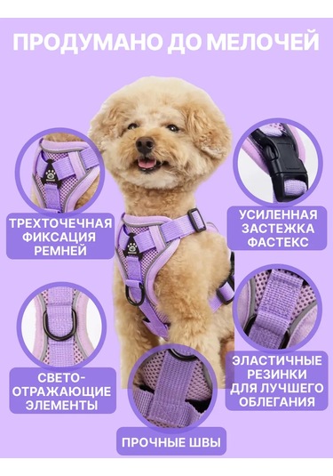 Tori Küçük Ve Orta Irklar İçin Tasmalı Köpek Kayışı Ve Kedi Şeridi 481276812