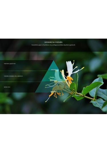 200520 Rulopak 297 Hanımeli Yasemin Kokusu