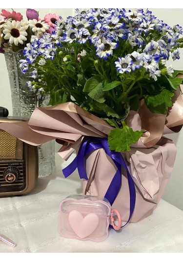 İphone 3. Nesil Uyumlu Koruyucu Bluetooth Kulaklık Kılıfı Figürlü Kalp Pembe Airpods 3. Nesil