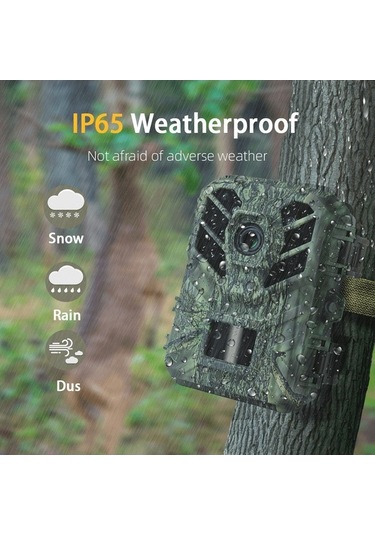 Dancemonkey Kamera Gece Görüşlü Yaban Hayatı İzleme, Hareket Aktivasyonlu Küçük Oyun Kamera Çok Renkli