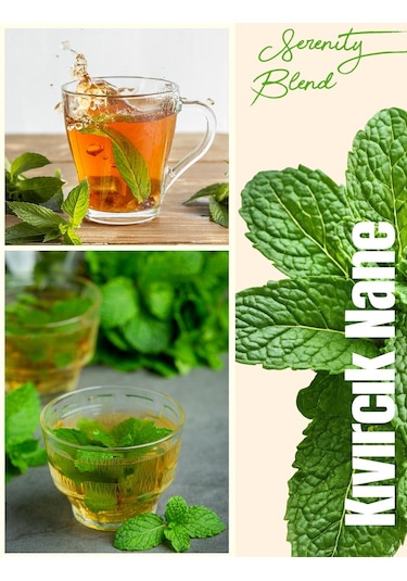 Güllüoğlu Kıvırcık Nane Çayı Spearmint Tea 100 Gr.