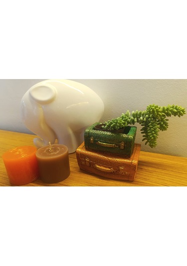 Artepieza Vintage Çift Bavul Saksı- Masaüstü Düzenleyici- Dekoratif Bavul Kalemlik Kahve-yeşil 12 8 1