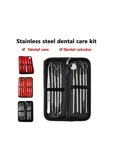 Willowhaven 9 Parçalı Profesyonel Diş Temizleme Seti Paslanmaz Çelik Evcil Ve Yetişkin Hayvanlar İçin